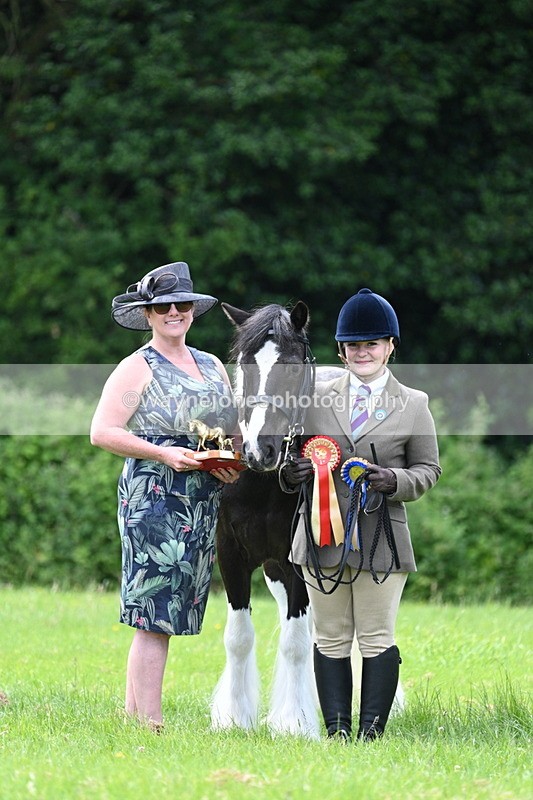 WJ7_1561 - Class 11 Condition & Turnout
