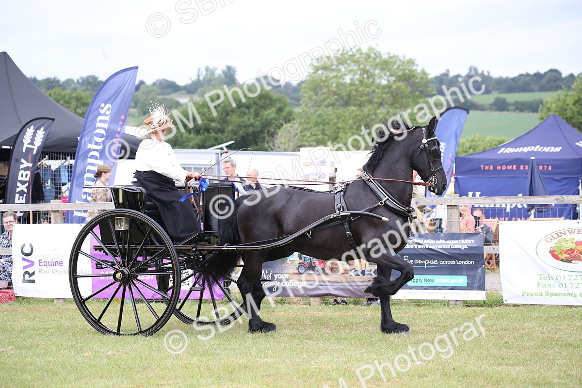 SBM_05903 - Class 12-15 - HOYS Private Driving