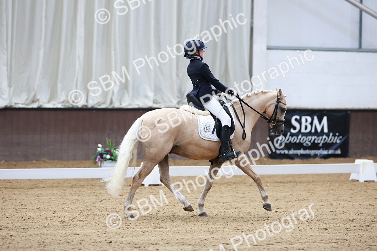 SBM_017382 - Class15 - FEI Pony