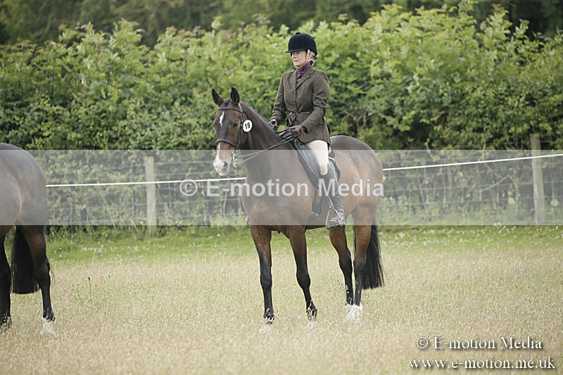 B230619-0335 - Bourne Valley Riding Club Summer Show 23/06/19