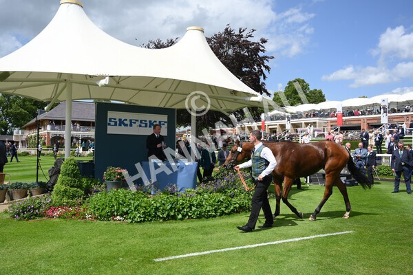 yr10062022r2-45 - Race 2 2.30pm SKF Rous Selling Stakes