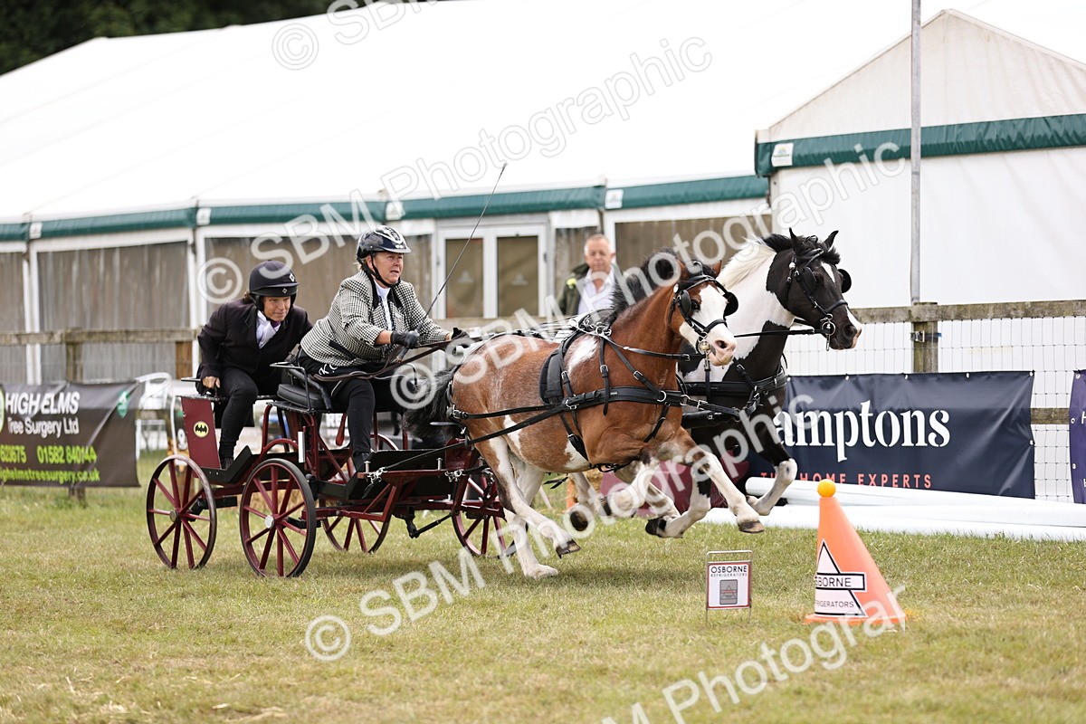 SBM_16028 - Class 91 - Scurry  exceeding 122cms