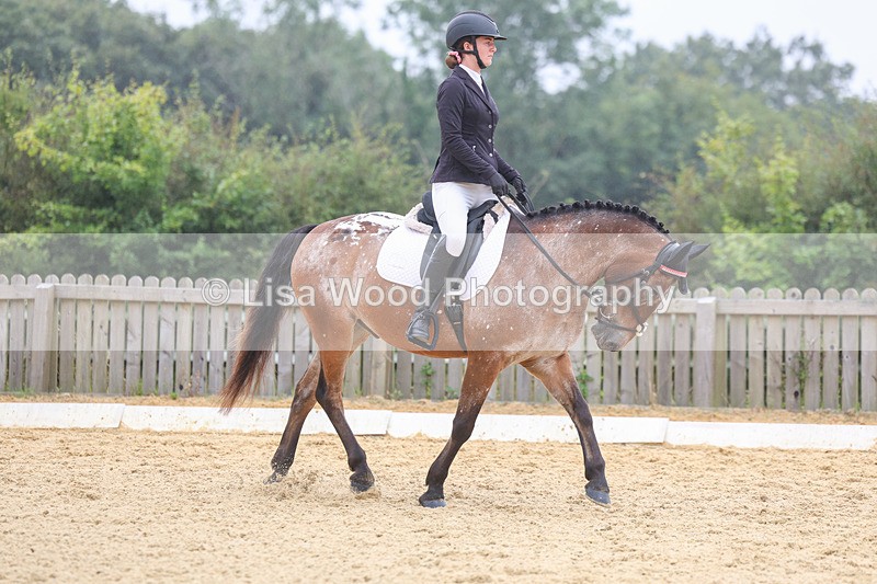 3E7A5388 - Class 2: Intro 4 2024 section B