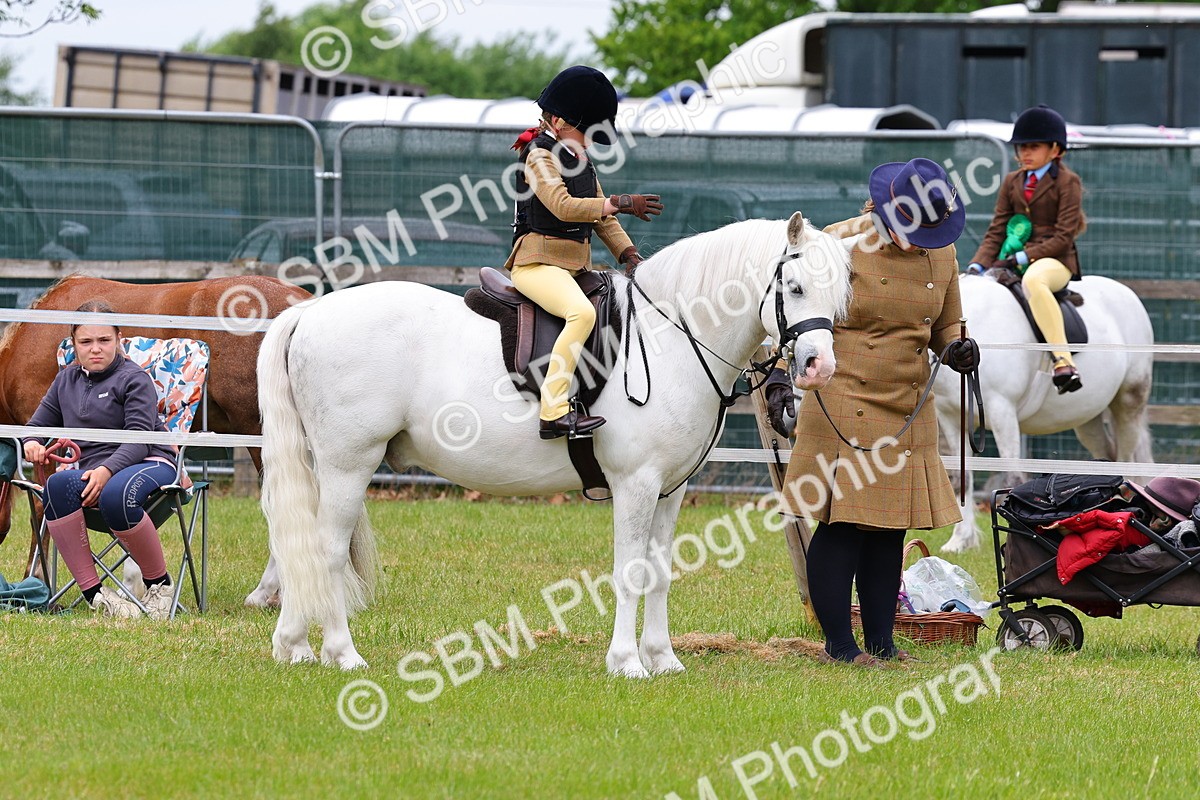 SBM_08196 - Class 42-43 - LIHS BSPS Heritage Working Sports Pony