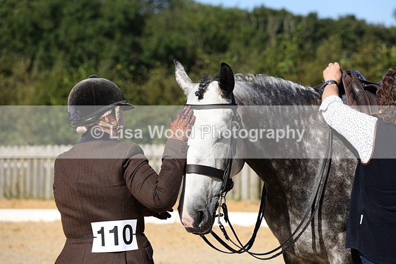 1X9A7686 - Class 8: Small Ridden Hunter