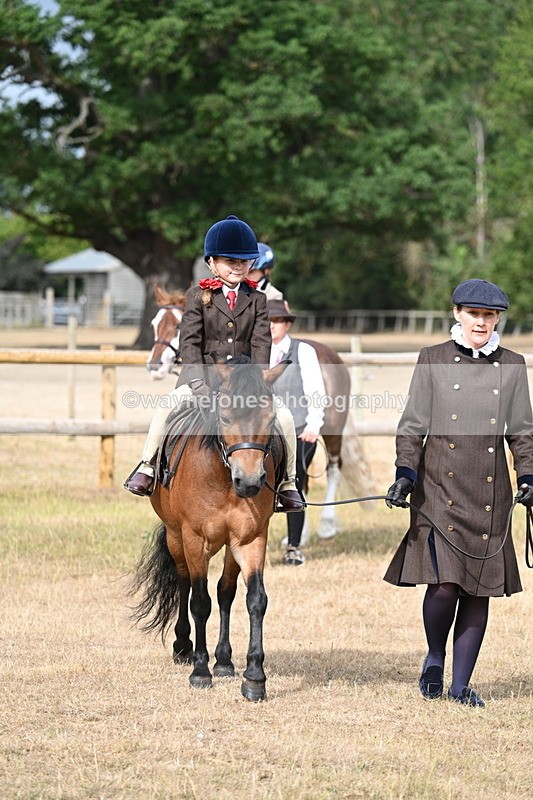 WJ7_6271 - Class 1 Lead Rein Pony