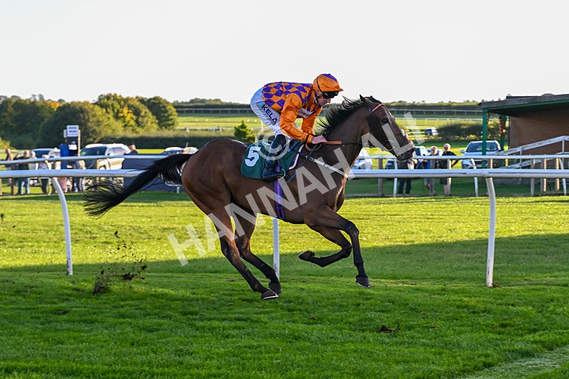 300926-Race 7-Prince Of Calypso-7079 - Race 7 5.25pm Amstel Gallop Handicap