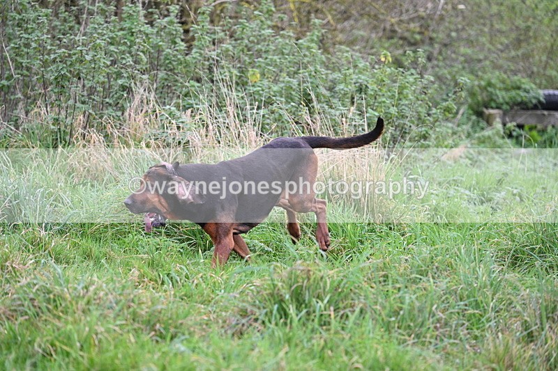 WJ7_8981 - Camera 1 only on this line