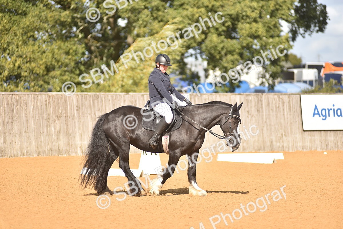 SBM_03027 - D4 - Small Tour Championship Intro 4