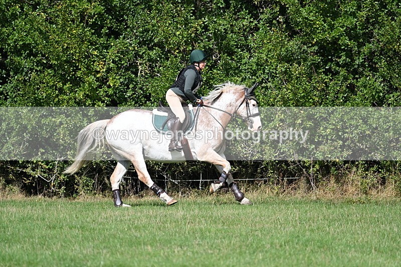 WJ7_9006 - Time 11:10 to 11:53