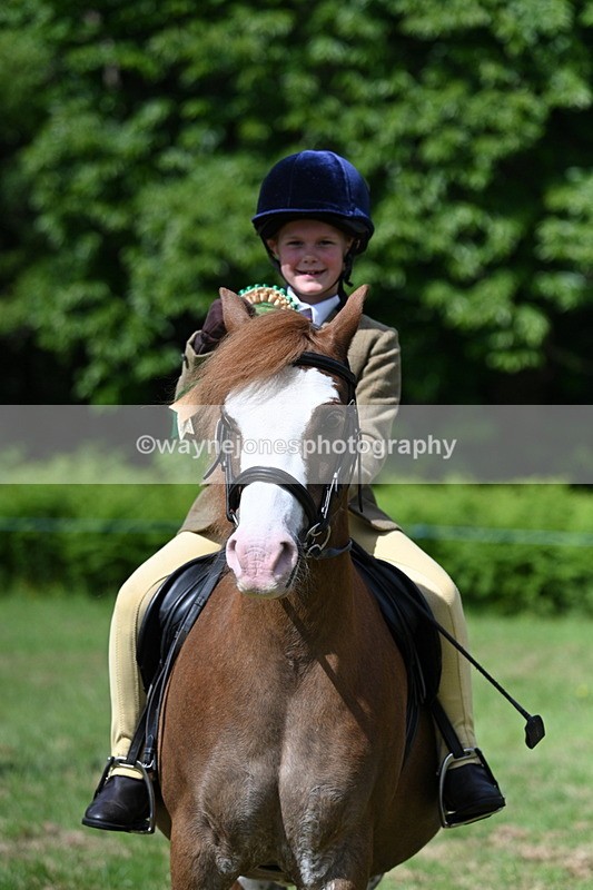 WJ7_0865 - Class 8 First Rally Pony