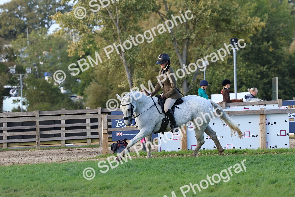 SBM_52555 - S13 - Pony Club Pony