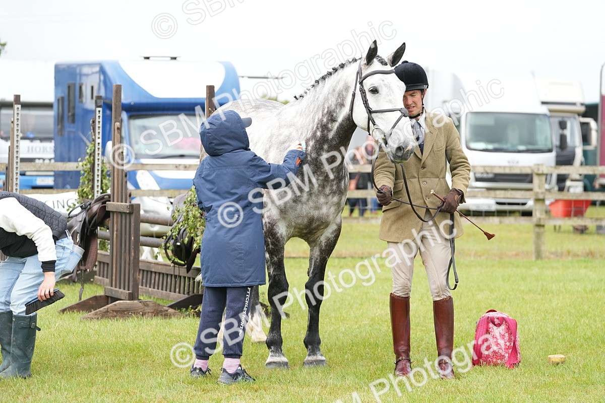 SBM_12724 - Class 97-98 - LIHS BSHA Rising Star Working Show Horse Hunter