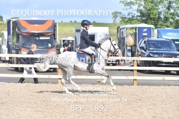 BPP_1892 - DERBY CLASS 5 - 60CM