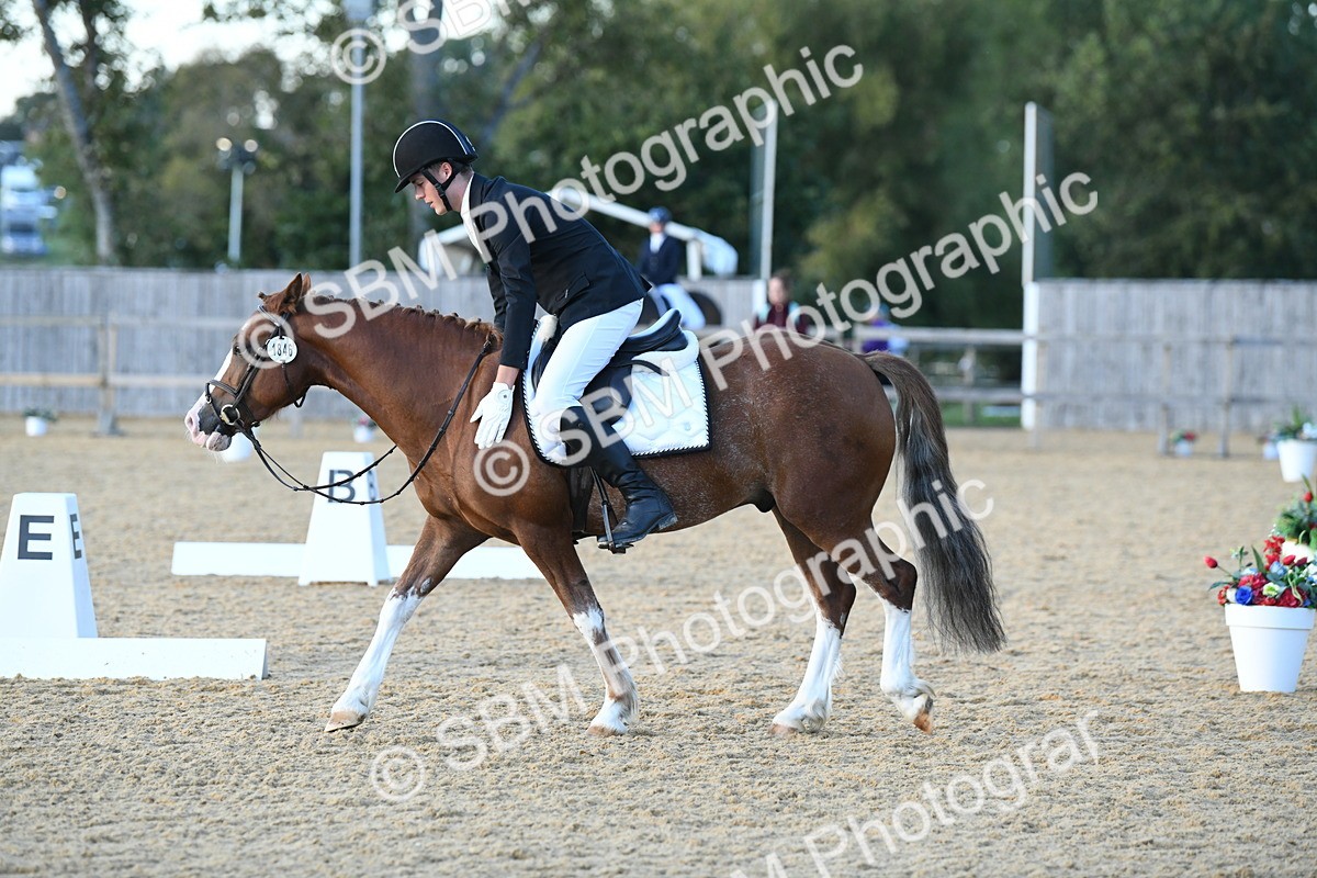 SBM_31022 - D16 - Small Tour Championship - Novice 28