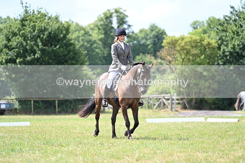 WJ7_4773 - Time 11:22 to 11:51