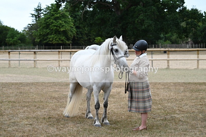 WJ7_9180 - Class 4a Prettiest Mare 14.2hh and over