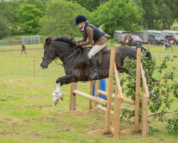 Dunblane show-390 - Dunblane and Doune Show Ring 1