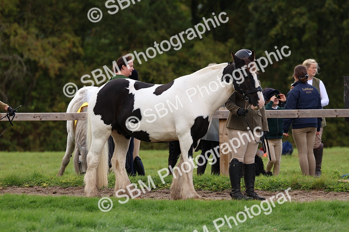 SBM_39452 - S24 - Young Veteran In Hand