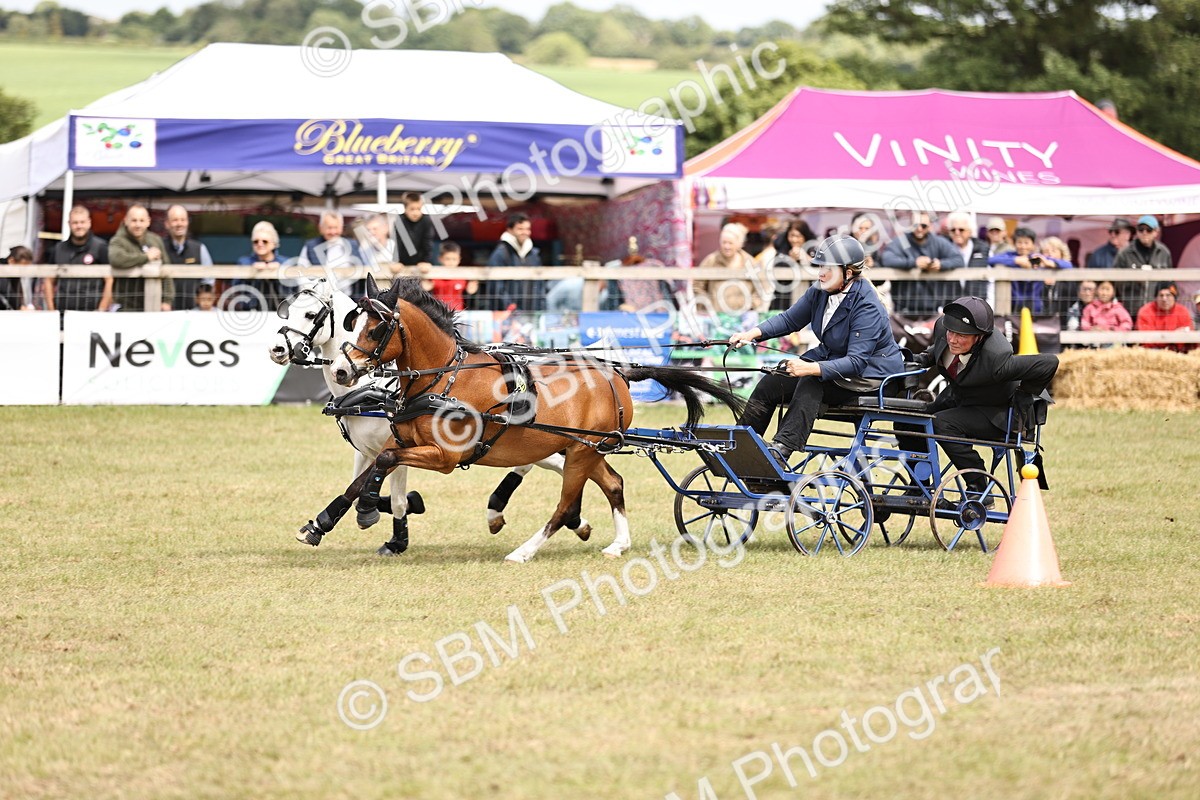 SBM_16059 - Class 91 - Scurry  exceeding 122cms
