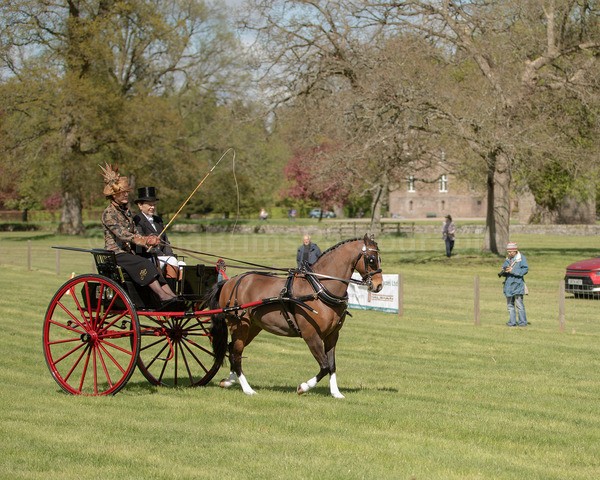 Attelage -784 - CIAT Glamis 2026