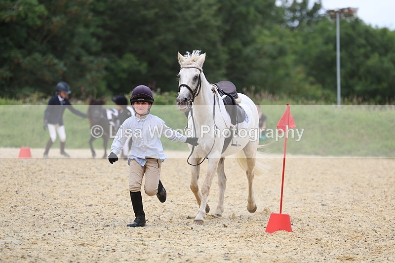 3E7A9520 - Walk trot run