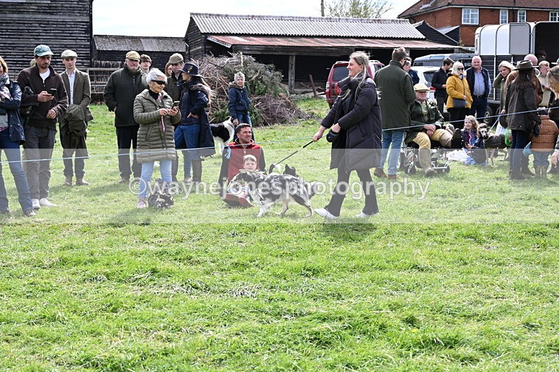 WJ6_8265 - Class 4 Prettiest Bitch