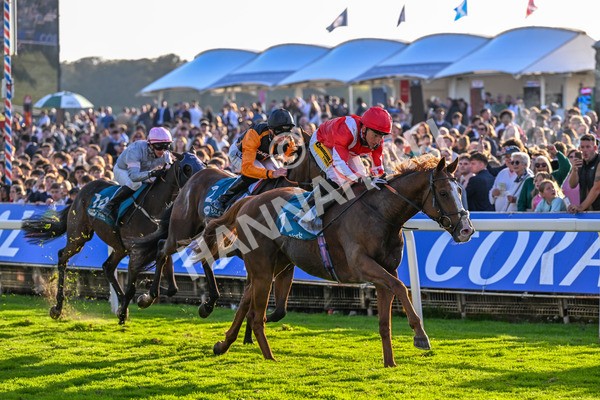111025-Race 6-Berkshire Sundance-0649 - Race 6 Coral Racing Club Stayers Handicap at York