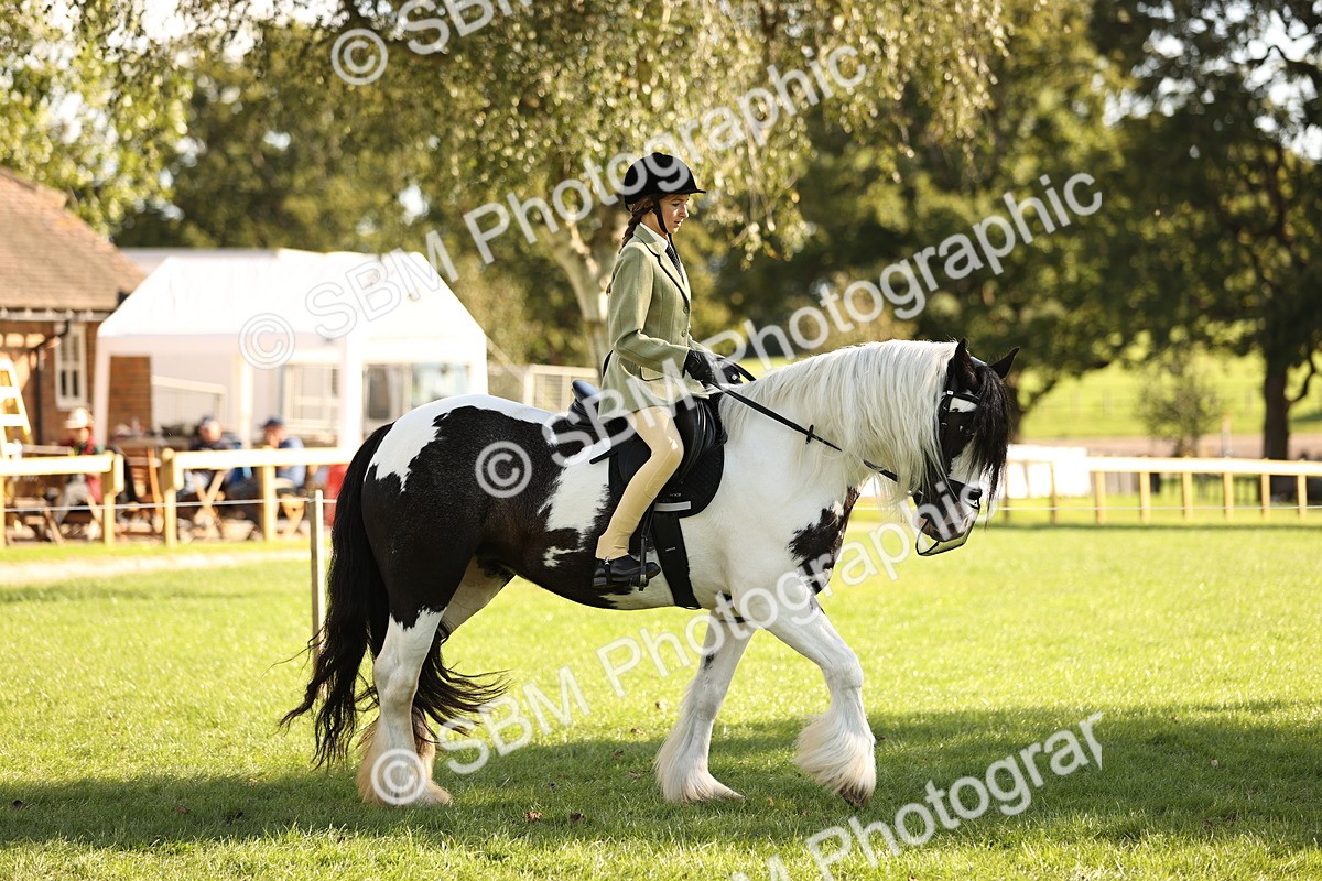 SBM_26443 - S6 - Novice & Newcomers Ridden Horse