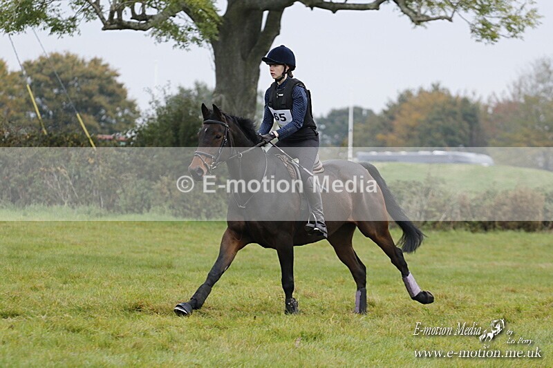 WWHT 181020 WWHT 181020 537 - WWEC Open Novice (0.80m) 18/10/20