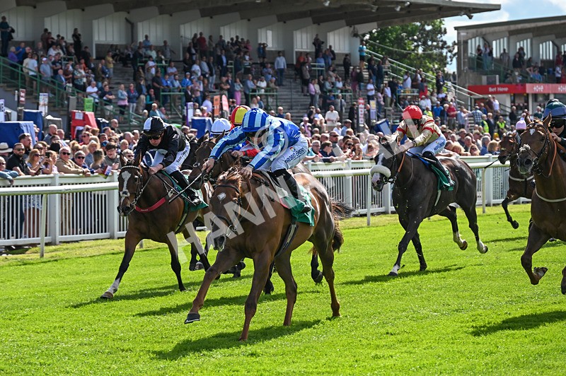310526-Race 2-Dazzling Haze-8406 - Race 2 16.15pm Flutter Proud To Support Young Lives Vs Cancer Handicap