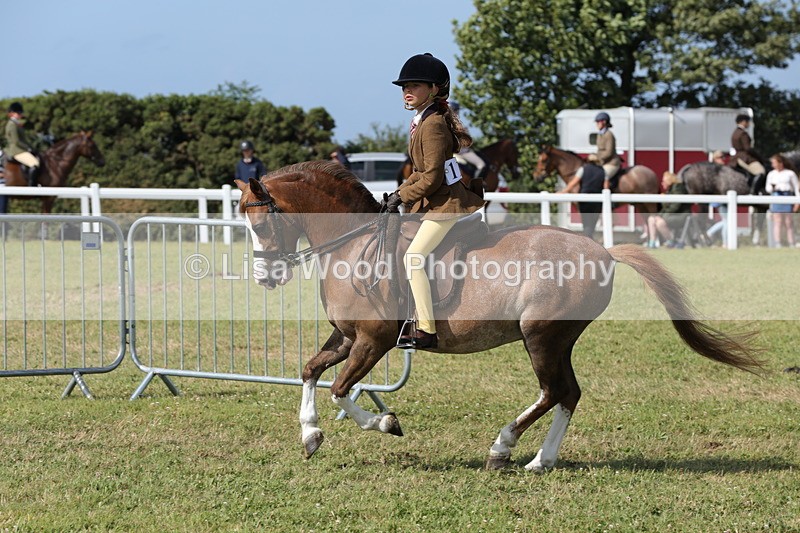 1X9A5782 - Class 40: NPS Welsh A & B