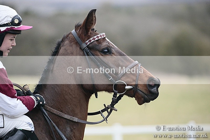 PtP 180218 715 - Combined Services Point-to-Point Larkhill 18/02/18