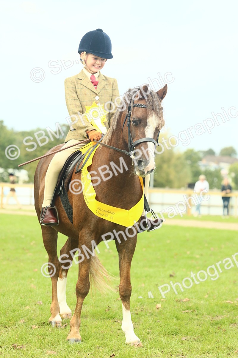 SBM_70011 - S59 - Mountain & Moorland Ridden Small Breeds