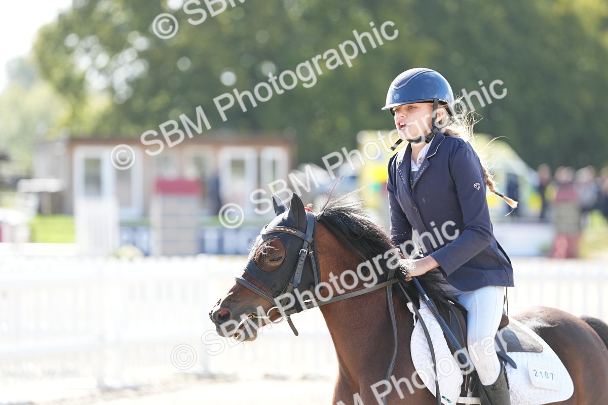 SBM_38456 - J6 - Junior Pony 55cm Championship