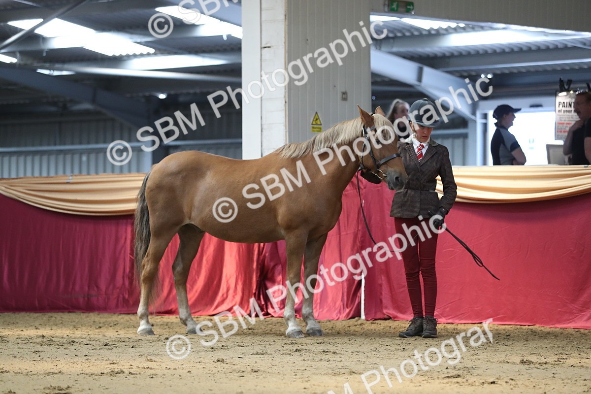 SBM_04380 - Class 7R Regional - IH Diamond