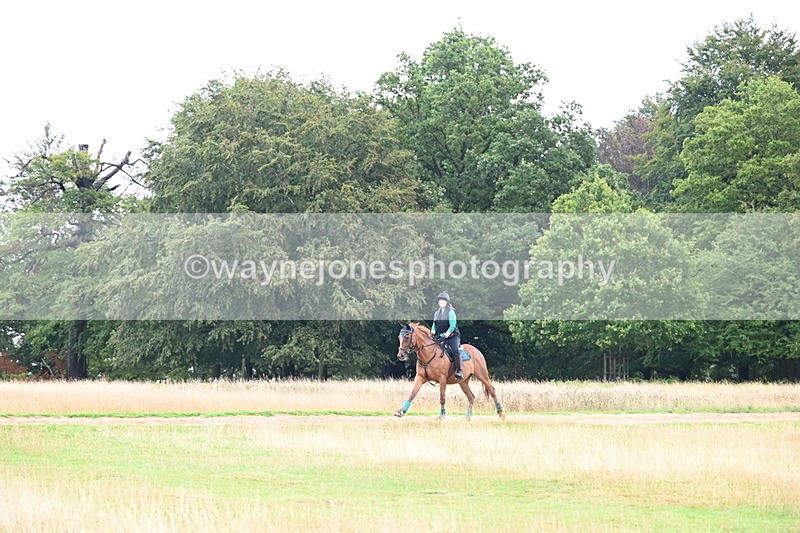 DSC_3726 - Time at Statue 13:51 to 14:55