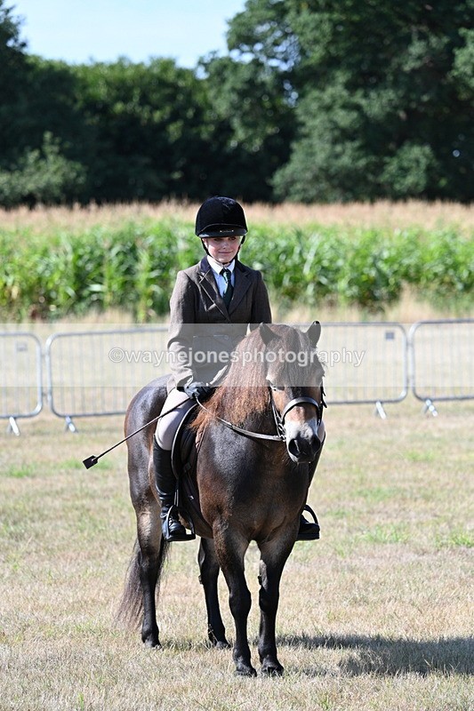 WJ7_3158 - Class 8 Ridden Tack & Turnout