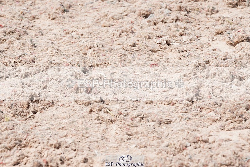 250503-121222-00759 - Cls 21+22 Club and Schools 80cm