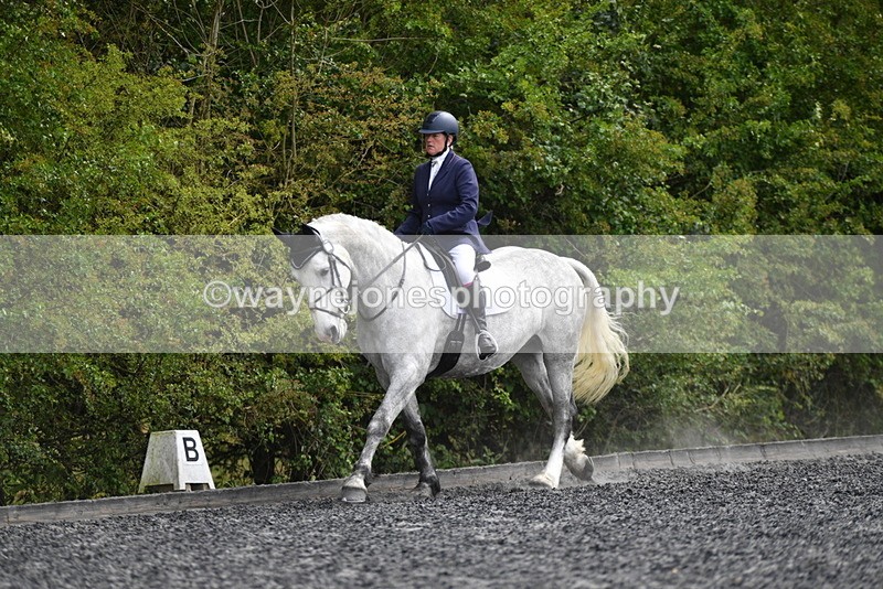 WJ5_2010 - Time 15:05 to 15:30