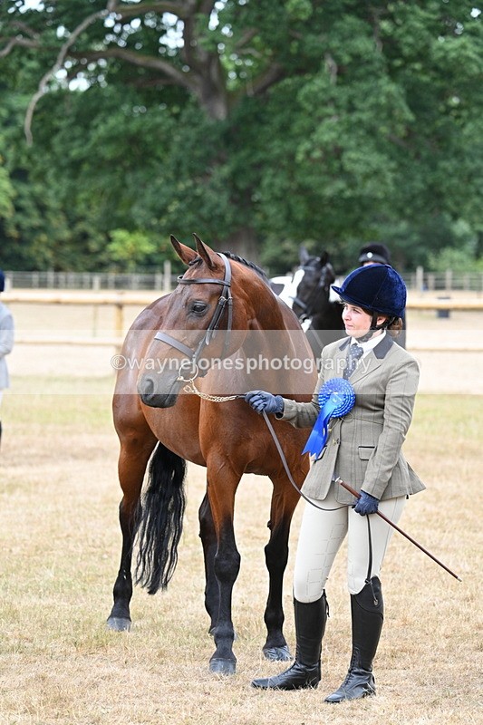 WJ7_9256 - Class 4a Prettiest Mare 14.2hh and over