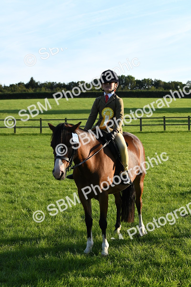SBM_54186 - S23 - 1st Ridden Mountain & Moorland Pony