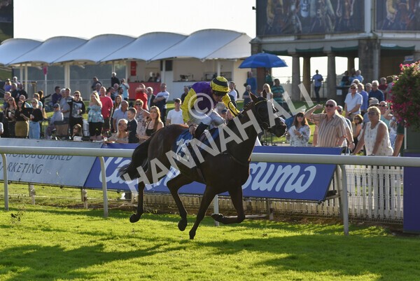 yr08102021r5-20 - Race 5 4.20pm Copper Knight - Winning Most Horse At York Handicap