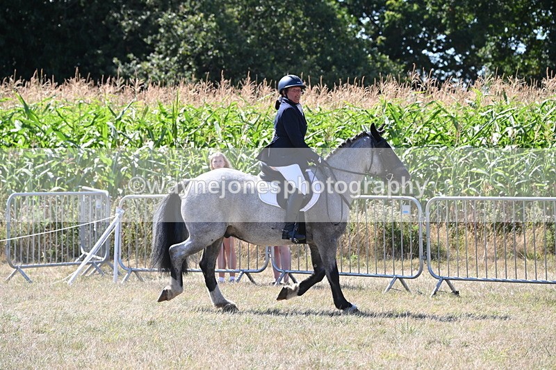 WJ6_8906 - Class 38 Ridden Riding Horse/Pony