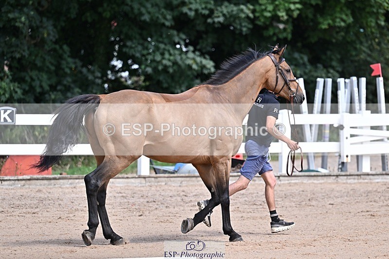 250716-124223-00125 - Trot Up 12.30 to 1.30