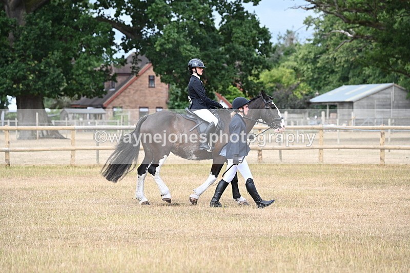 WJ6_7517 - Class 9 Tack and Turnout