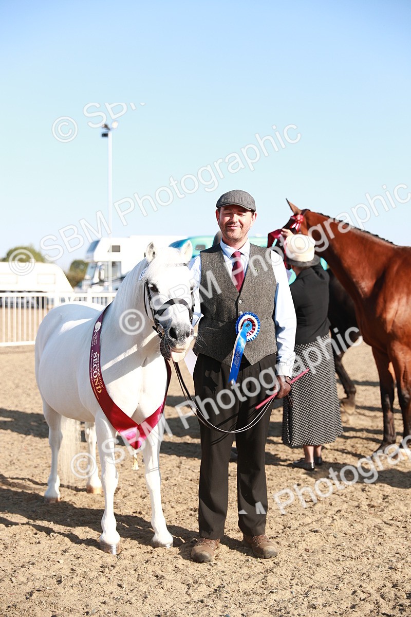 SBM_00100 - Class 40 Best Turned Out IH