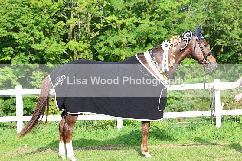 3E7A0252 - Verity Perry