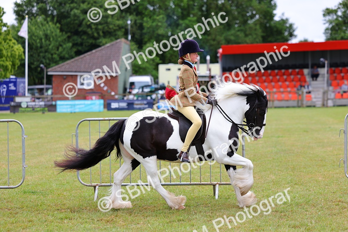 SBM_02627 - Class 9-11 Side Saddle including LIHS Rising Star Ladies Show Horse