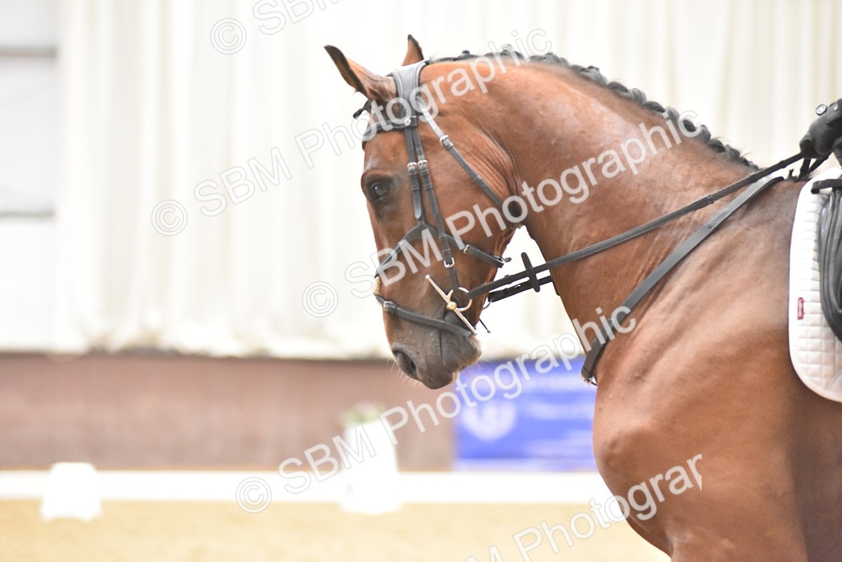 SBM_011247 - Class 5 - Prelim 5